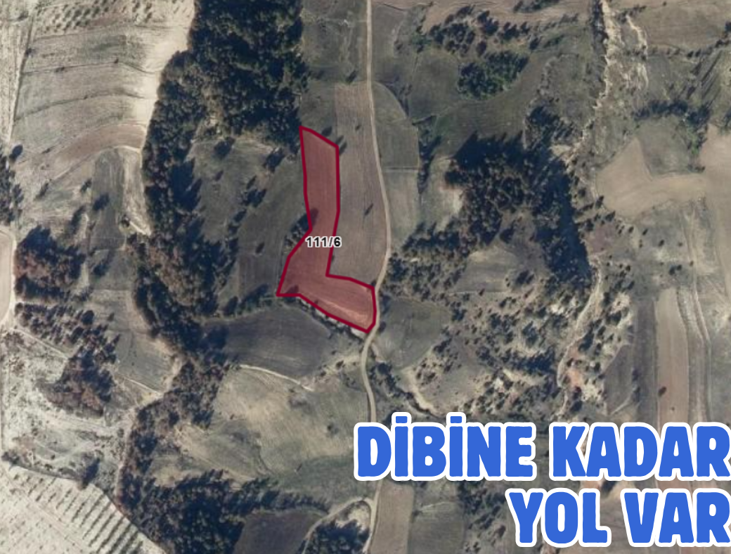 BİLECİK YENİPAZAR ESENKÖY 4.952 M² TARLA SATILIKTIR - BİLECİK YENİPAZAR fotoğraf 3